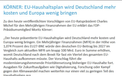 Pressemitteilung: EU-Haushaltsplan wird Deutschland mehr kosten und Europa wenig bringen