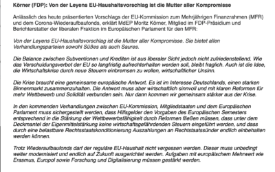 Körner (FDP): Von der Leyens EU-Haushaltsvorschlag ist die Mutter aller Kompromisse