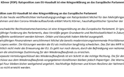 „Der abgeschwächte Rechtsstaatsmechanismus ist eine Kriegserklärung an das Europäische Parlament“