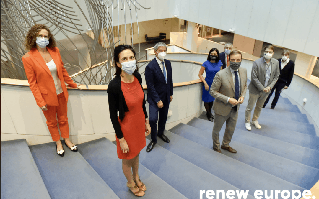 Renew Europe Verhandlungsteam
